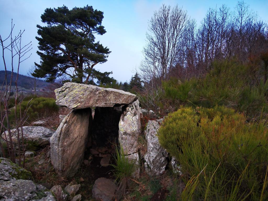 Le dolmen des Beaumes - 07310 Borée